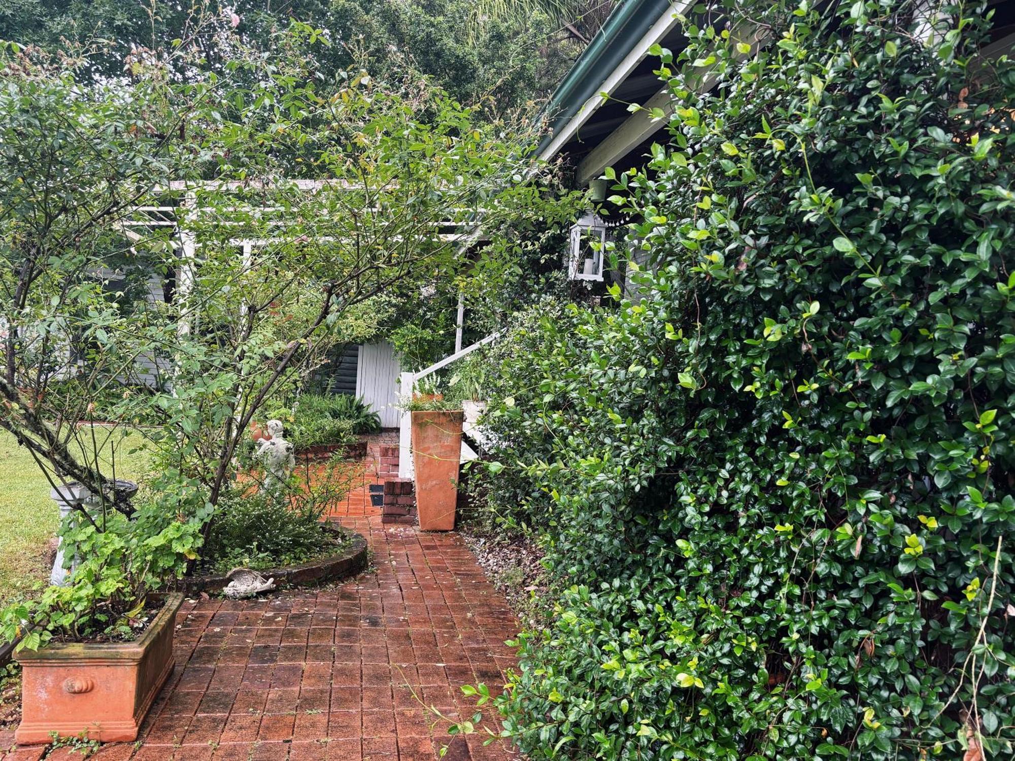 Celestial Dew Guesthouse In Tyalgum Eksteriør billede